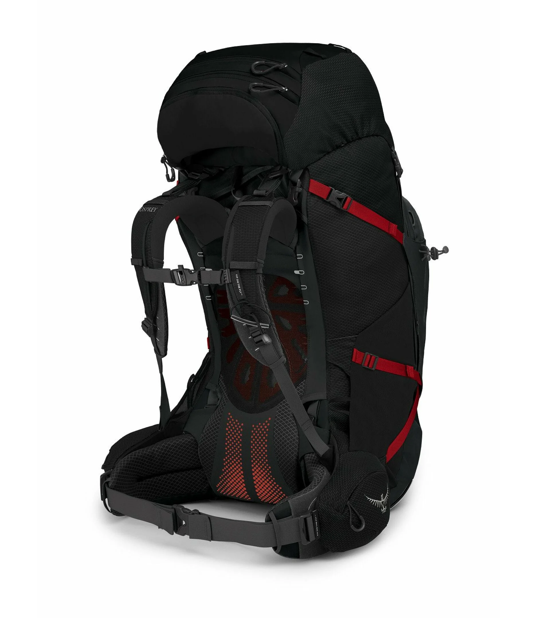 Osprey Aether Plus 85 - Image 4